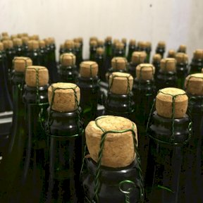 Bottles of cider